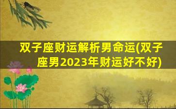 双子座财运解析男命运(双子座男2023年财运好不好)