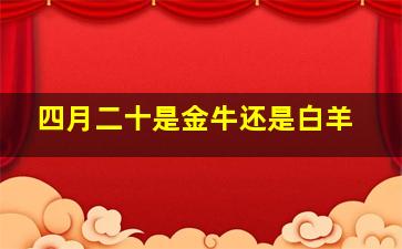 四月二十是金牛还是白羊