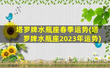 塔罗牌水瓶座春季运势(塔罗牌水瓶座2023年运势)