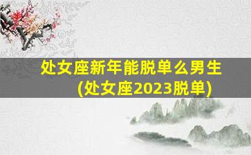 处女座新年能脱单么男生(处女座2023脱单)