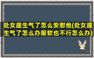 处女座生气了怎么安慰他(处女座生气了怎么办服软也不行怎么办)