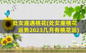 处女座遇桃花(处女座桃花运势2023几月有桃花运)