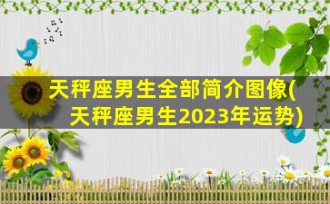 天秤座男生全部简介图像(天秤座男生2023年运势)