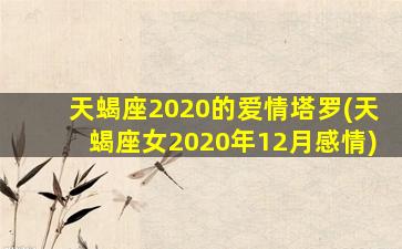 天蝎座2020的爱情塔罗(天蝎座女2020年12月感情)