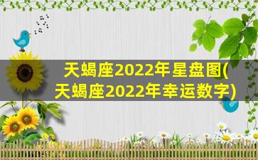 天蝎座2022年星盘图(天蝎座2022年幸运数字)