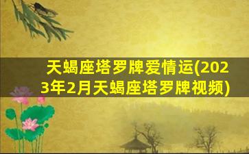 天蝎座塔罗牌爱情运(2023年2月天蝎座塔罗牌视频)