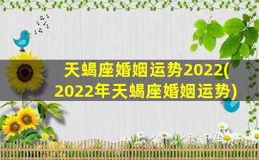 天蝎座婚姻运势2022(2022年天蝎座婚姻运势)