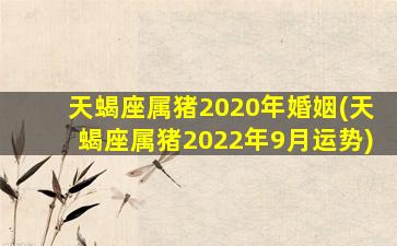 天蝎座属猪2020年婚姻(天蝎座属猪2022年9月运势)