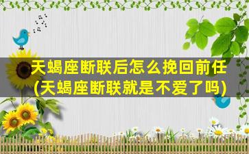 天蝎座断联后怎么挽回前任(天蝎座断联就是不爱了吗)