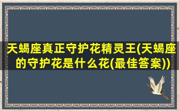 天蝎座真正守护花精灵王(天蝎座的守护花是什么花(最佳答案))