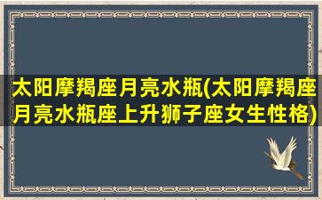 太阳摩羯座月亮水瓶(太阳摩羯座月亮水瓶座上升狮子座女生性格)