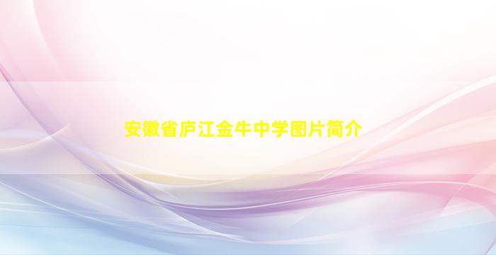 安徽省庐江金牛中学图片简介