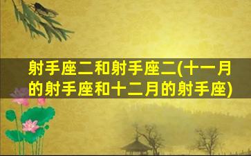 射手座二和射手座二(十一月的射手座和十二月的射手座)