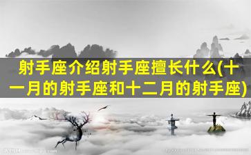 射手座介绍射手座擅长什么(十一月的射手座和十二月的射手座)