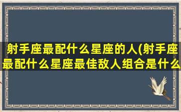 射手座最配什么星座的人(射手座最配什么星座最佳敌人组合是什么)