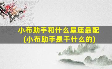 小布助手和什么星座最配(小布助手是干什么的)