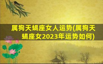 属狗天蝎座女人运势(属狗天蝎座女2023年运势如何)