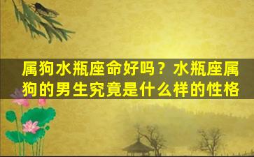 属狗水瓶座命好吗？水瓶座属狗的男生究竟是什么样的性格