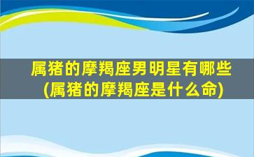 属猪的摩羯座男明星有哪些(属猪的摩羯座是什么命)