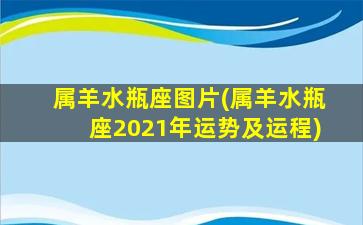 属羊水瓶座图片(属羊水瓶座2021年运势及运程)