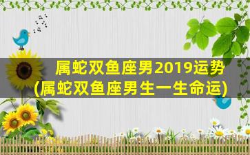 属蛇双鱼座男2019运势(属蛇双鱼座男生一生命运)