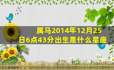 属马2014年12月25日6点43分出生是什么星座