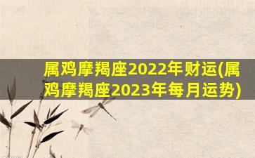 属鸡摩羯座2022年财运(属鸡摩羯座2023年每月运势)