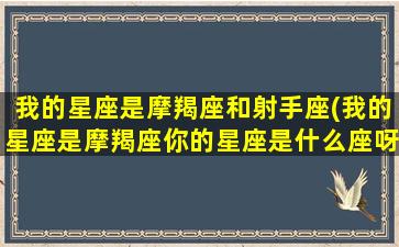 我的星座是摩羯座和射手座(我的星座是摩羯座你的星座是什么座呀)