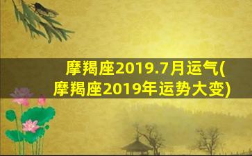 摩羯座2019.7月运气(摩羯座2019年运势大变)