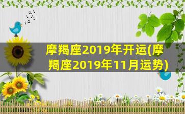 摩羯座2019年开运(摩羯座2019年11月运势)