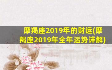 摩羯座2019年的财运(摩羯座2019年全年运势详解)