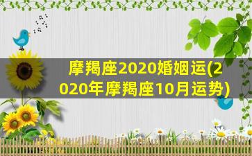 摩羯座2020婚姻运(2020年摩羯座10月运势)