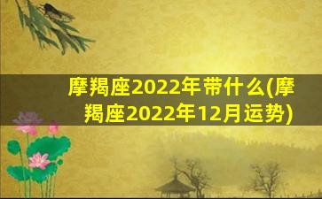 摩羯座2022年带什么(摩羯座2022年12月运势)