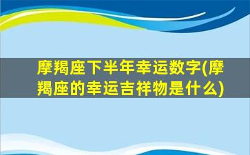 摩羯座下半年幸运数字(摩羯座的幸运吉祥物是什么)