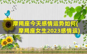 摩羯座今天感情运势如何(摩羯座女生2023感情运)