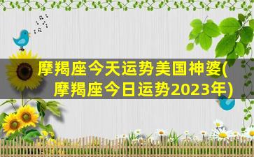 摩羯座今天运势美国神婆(摩羯座今日运势2023年)