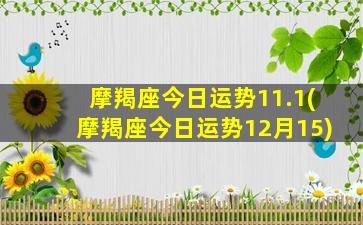 摩羯座今日运势11.1(摩羯座今日运势12月15)