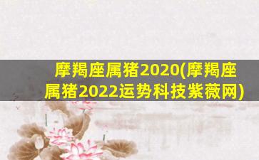 摩羯座属猪2020(摩羯座属猪2022运势科技紫薇网)