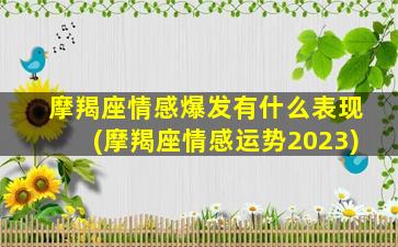 摩羯座情感爆发有什么表现(摩羯座情感运势2023)