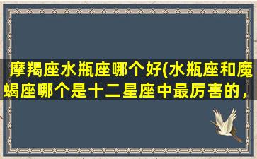 摩羯座水瓶座哪个好(水瓶座和魔蝎座哪个是十二星座中最厉害的，最可怕的)