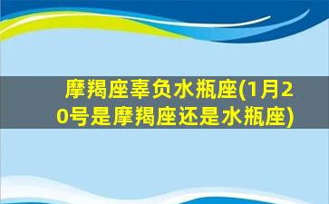 摩羯座辜负水瓶座(1月20号是摩羯座还是水瓶座)