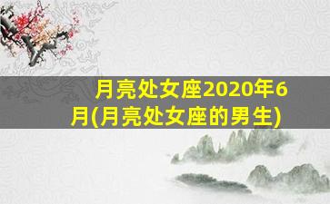 月亮处女座2020年6月(月亮处女座的男生)