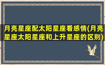 月亮星座配太阳星座看感情(月亮星座太阳星座和上升星座的区别)