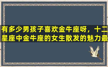 有多少男孩子喜欢金牛座呀，十二星座中金牛座的女生散发的魅力最吸引哪些星座男呢