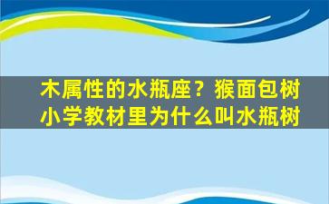 木属性的水瓶座？猴面包树小学教材里为什么叫水瓶树