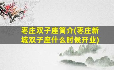 枣庄双子座简介(枣庄新城双子座什么时候开业)