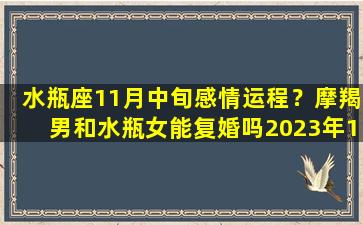 水瓶座11月中旬感情运程？摩羯男和水瓶女能复婚吗2023年11月