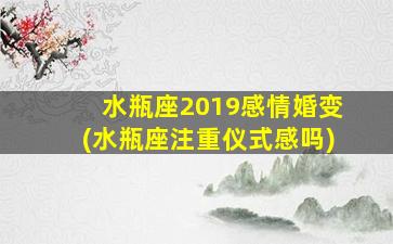 水瓶座2019感情婚变(水瓶座注重仪式感吗)