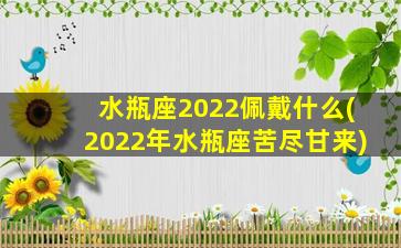 水瓶座2022佩戴什么(2022年水瓶座苦尽甘来)