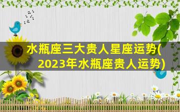 水瓶座三大贵人星座运势(2023年水瓶座贵人运势)